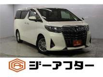 2019 Toyota Alphard G