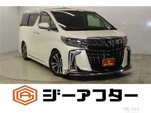 2019 Toyota Alphard G