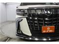 2019 Toyota Alphard G