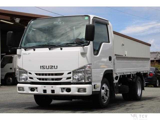 2020 Isuzu Elf Truck