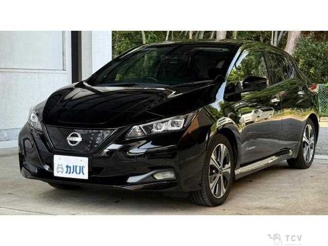 2022 Nissan Leaf