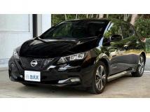 2022 Nissan Leaf
