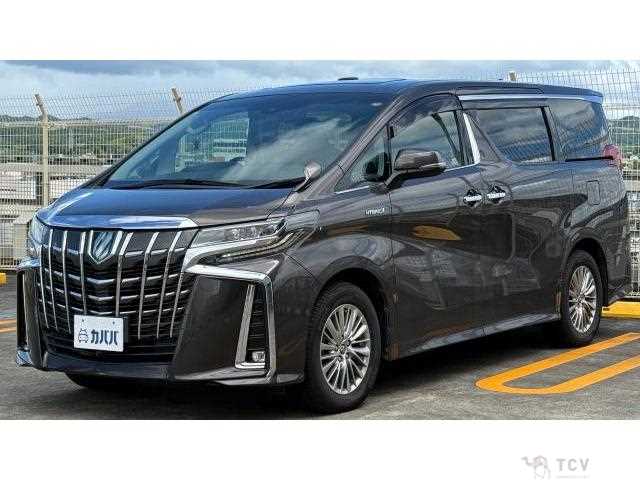 2018 Toyota Alphard G