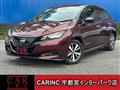 2021 Nissan Leaf