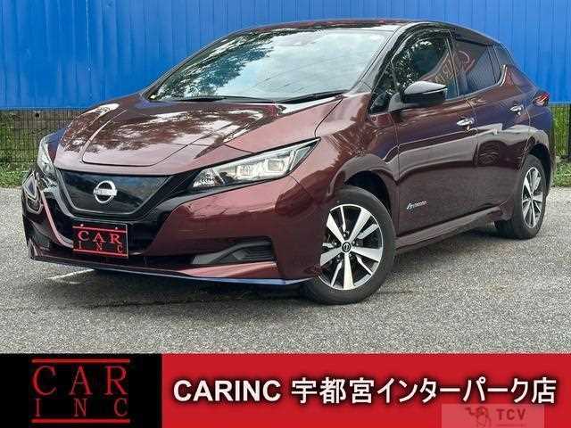 2021 Nissan Leaf
