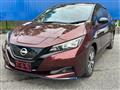 2021 Nissan Leaf