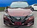 2021 Nissan Leaf