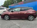 2021 Nissan Leaf