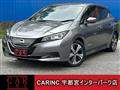 2021 Nissan Leaf