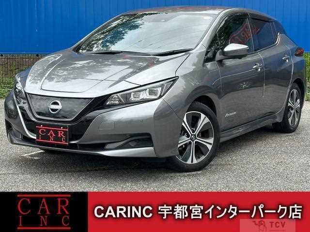 2021 Nissan Leaf