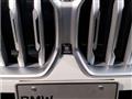 2023 BMW X6