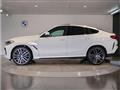 2023 BMW X6