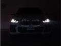 2023 BMW X6