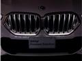 2023 BMW X6