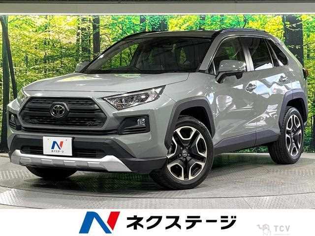 2019 Toyota RAV4