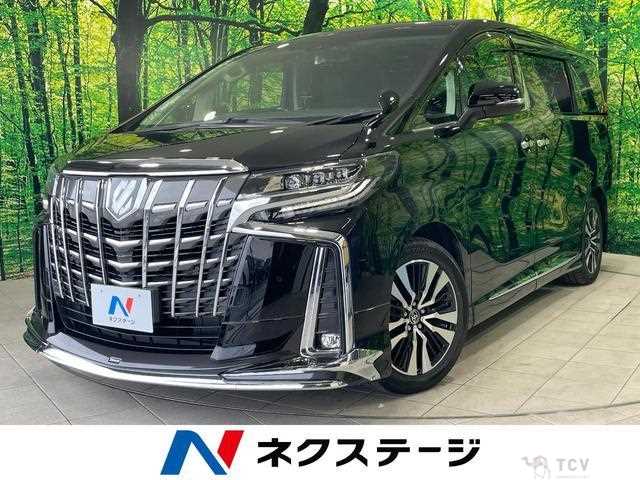 2019 Toyota Alphard G