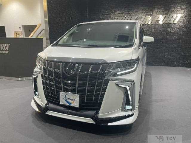 2019 Toyota Alphard G