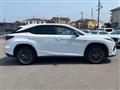 2021 Lexus RX