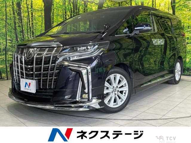 2019 Toyota Alphard G