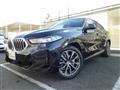 2025 BMW X6