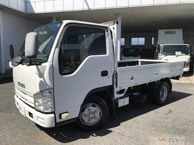 2013 Isuzu Elf Truck