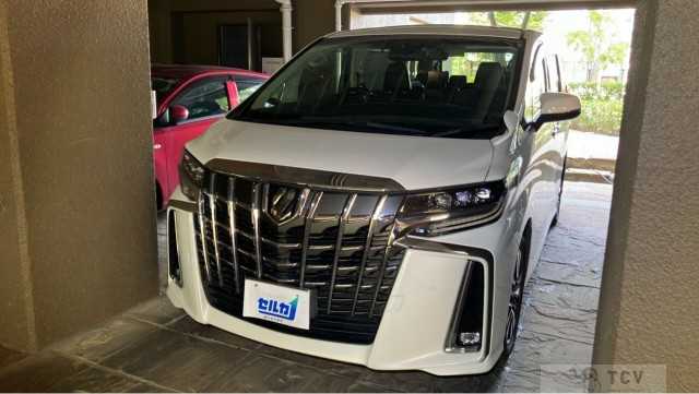 2022 Toyota Alphard G