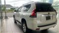 2020 Toyota Land Cruiser Prado