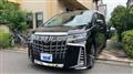 2020 Toyota Alphard G
