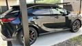 2025 Lexus RX