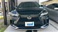 2025 Lexus RX