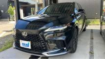 2025 Lexus RX