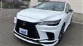 2025 Lexus RX