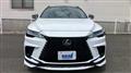 2025 Lexus RX