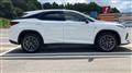 2020 Lexus RX
