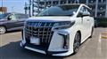 2020 Toyota Alphard G