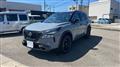 2024 Nissan X-Trail
