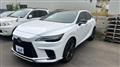 2025 Lexus RX