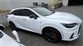 2025 Lexus RX