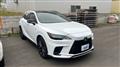 2025 Lexus RX