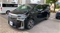 2019 Toyota Alphard G