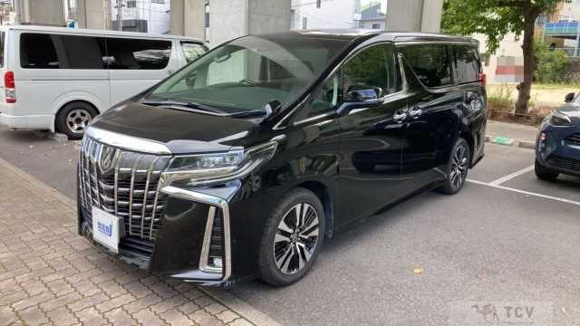 2019 Toyota Alphard G