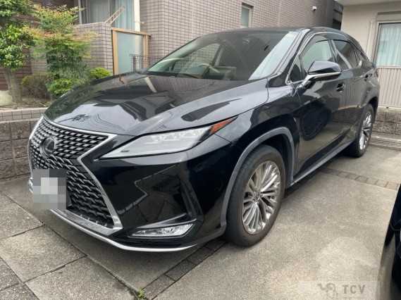 2019 Lexus RX