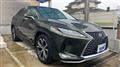 2019 Lexus RX