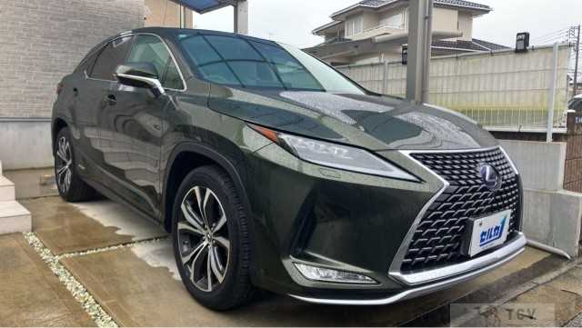 2019 Lexus RX