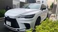 2024 Lexus RX