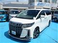 2018 Toyota Alphard G