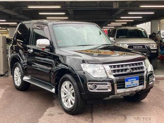 2016 Mitsubishi Pajero