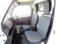 2020 Suzuki Carry Truck