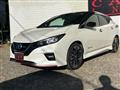 2019 Nissan Leaf