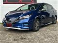 2020 Nissan Leaf